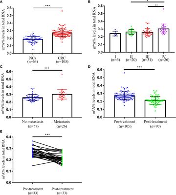 Elevated N6-Methyladenosine RNA Levels in Peripheral Blood Immune Cells: A Novel Predictive Biomarker and Therapeutic Target for Colorectal Cancer